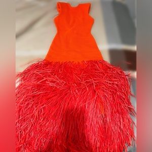 COPY - New Dress never used